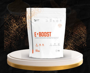e-boost